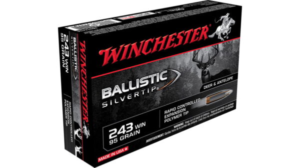 Buy Winchester Ballistic-Silvertip 95 gr Online
