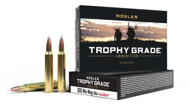 Buy Nosler Trophy Grade 300 Win Mag 180 Grain AccuBond Online