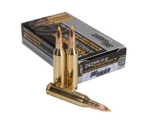 Buy Sig Sauer SIG Hunting Rifle Ammo 243 Winchester 55g FMJ Online